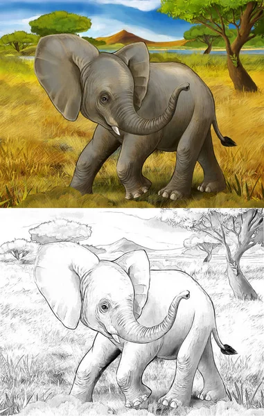 Cartoon scene with elephant safari illustration for children — Stock Photo, Image