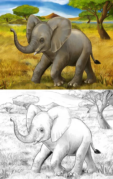 Çocuklar için fil Safari illüstrasyon karikatür sahne — Stok fotoğraf