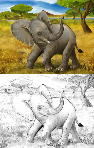 子供のための象サファリイラストと漫画のシーン — ストック写真