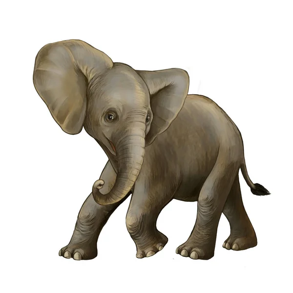 Scène de dessin animé avec petit éléphant sur fond blanc safari illustration pour enfants — Photo