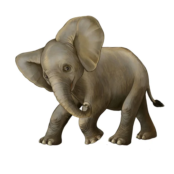 Cena dos desenhos animados com pouco elefante no fundo branco safari ilustração para crianças — Fotografia de Stock