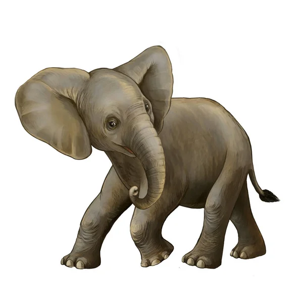 Kreslená scéna s malým slonem na bílém pozadí Safari ilustrace pro děti — Stock fotografie
