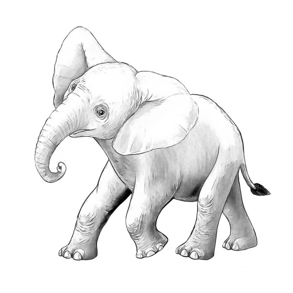 Cartoon scène met kleine olifant op witte achtergrond Safari kleurplaat pagina schetsboek illustratie voor kinderen — Stockfoto