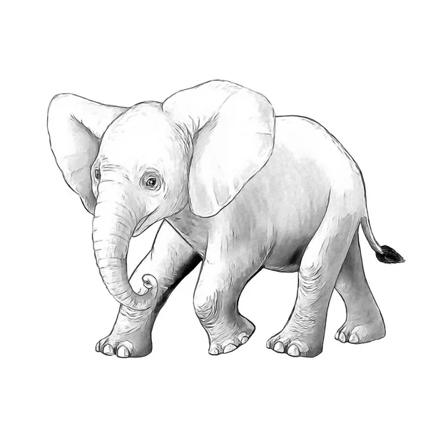 Scena del fumetto con piccolo elefante su sfondo bianco safari pagina da colorare schizzo libro illustrazione per bambini — Foto Stock