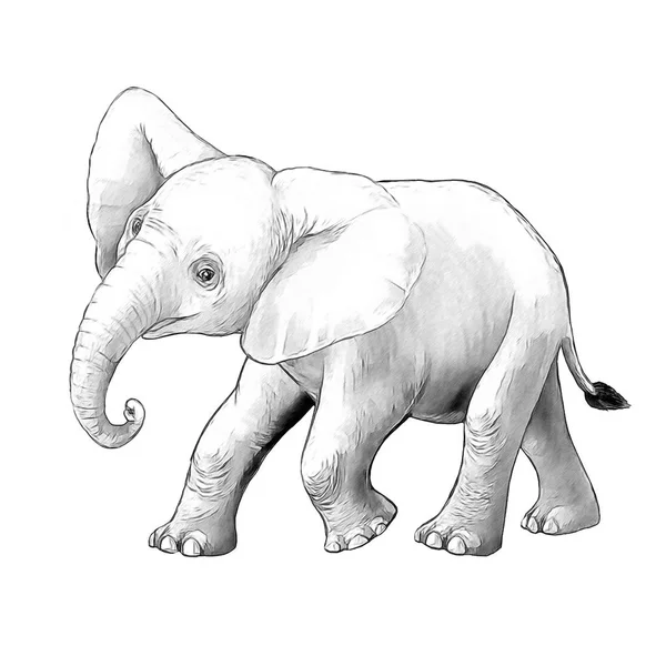 Scène de dessin animé avec petit éléphant sur fond blanc safari coloriage illustration de carnet de croquis pour enfants — Photo