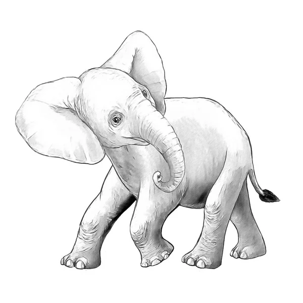 Cartoon scène met kleine olifant op witte achtergrond Safari kleurplaat pagina schetsboek illustratie voor kinderen — Stockfoto