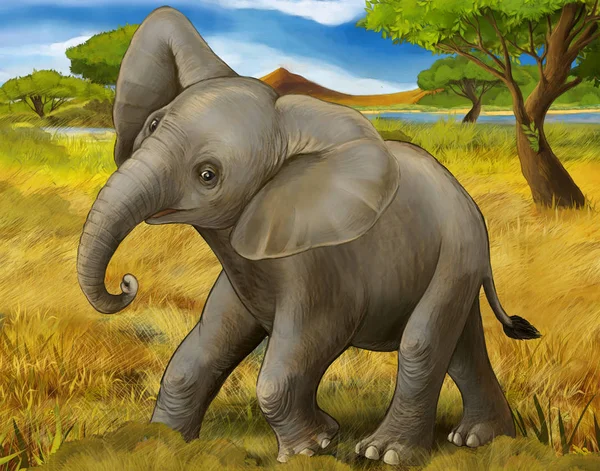 cartoon scene with elephant safari illustration for children