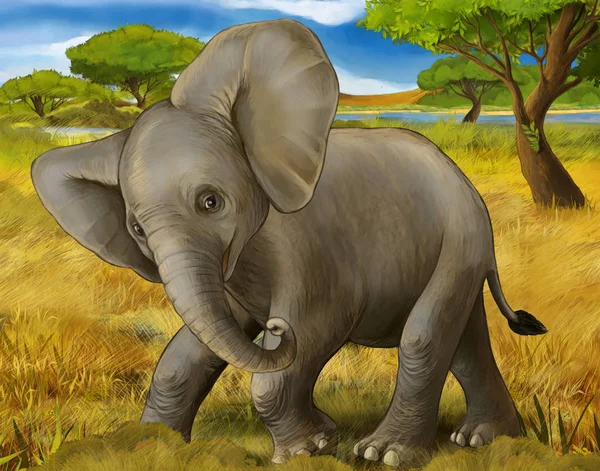 Καρτούν σκηνή με ελέφαντα σαφάρι εικονογράφηση για τα παιδιά — Φωτογραφία Αρχείου