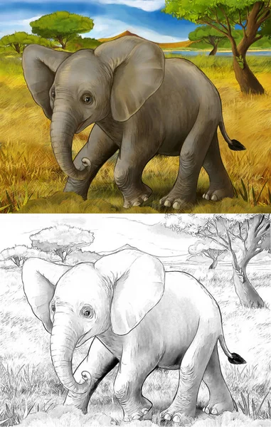 Escena de dibujos animados con elefante safari ilustración para niños —  Fotos de Stock