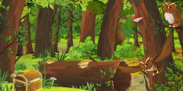 Tecknade sommar scen med djupa skogen och fågel owl - ingen på scen - illustration för barn — Stockfoto