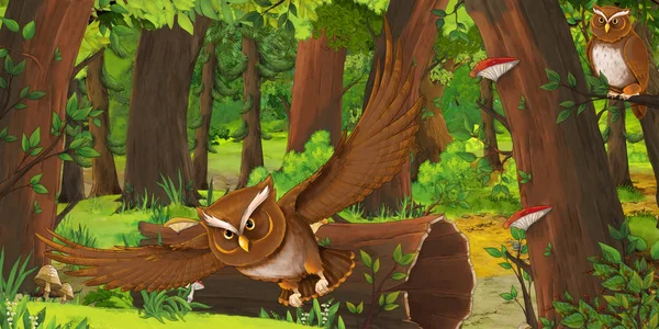 Kreslený letní scéna s hlubokých lesů a pták sova - nikdo na scéně - ilustrace pro děti — Stock fotografie
