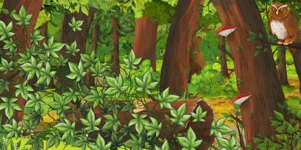 Cartoon summer scene with deep forest and bird owl - nobody on scene - illustration for children — Stock Photo, Image