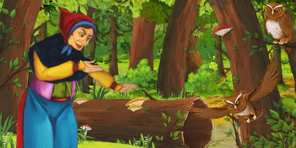 행복 한 늙은 여자 마녀 마법사와 만화 장면 올빼미 비행의 쌍을 만나는 숲에서 - 어린이를위한 삽화 — 스톡 사진