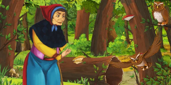 Cartoon scene with happy old woman witch sorceress in the forest encountering pair of owls flying - illustration for children — Stock Photo, Image