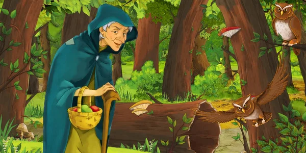 Scena dei cartoni animati con l'uomo più anziano agricoltore o cacciatore nella foresta incontrare coppia di gufi volare - illustrazione per i bambini — Foto Stock