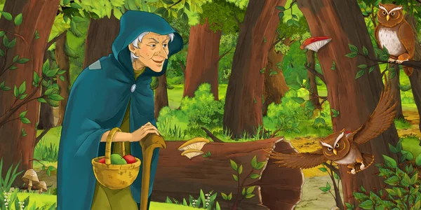 cartoon scene with older man farmer or hunter in the forest encountering pair of owls flying - illustration for children