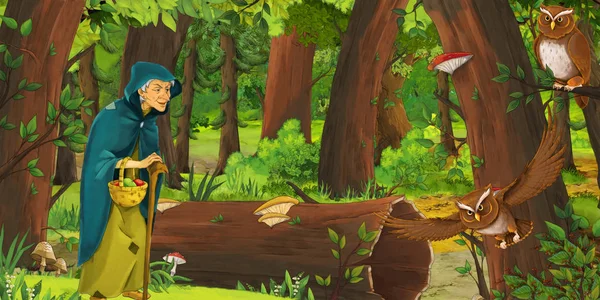 Scène de dessin animé avec un homme plus âgé agriculteur ou chasseur dans la forêt rencontrant une paire de hiboux volant illustration pour les enfants — Photo