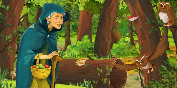 Kreslená scéna se starším farmářem nebo Hunterem v lese, který se setkala s dvojicí sovy-ilustrace pro děti — Stock fotografie