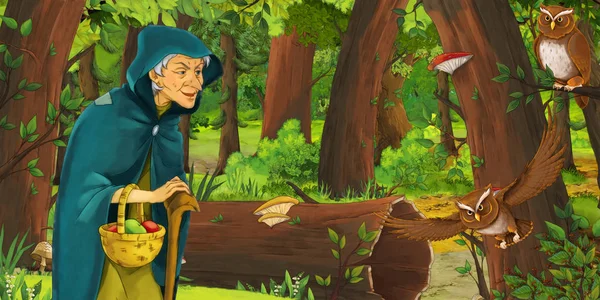 Cartoon scene with happy old woman witch sorceress in the forest encountering pair of owls flying - illustration for children — Stock Photo, Image