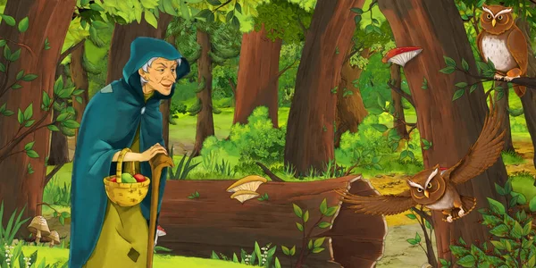 卡通场景与快乐的老妇人女巫女巫女巫在森林中遇到一对猫头鹰飞 - 插图为儿童 — 图库照片