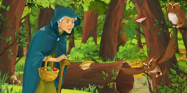 Tecknad scen med Happy Old Woman Witch Sorceress i skogen möter par ugglor flygande-illustration för barn — Stockfoto