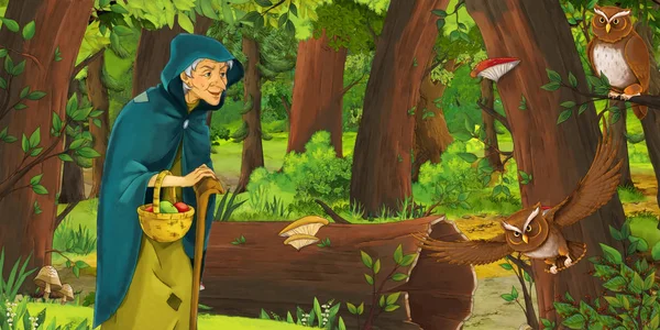 Tecknad scen med Happy Old Woman Witch Sorceress i skogen möter par ugglor flygande-illustration för barn — Stockfoto