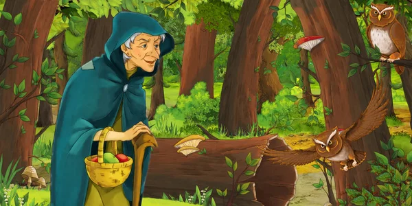 Tecknad scen med Happy Old Woman Witch Sorceress i skogen möter par ugglor flygande-illustration för barn — Stockfoto