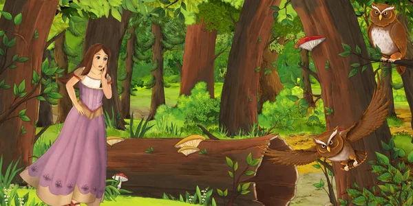 Tecknad scen med lycklig ung flicka i skogen möter par ugglor flygande-illustration för barn — Stockfoto