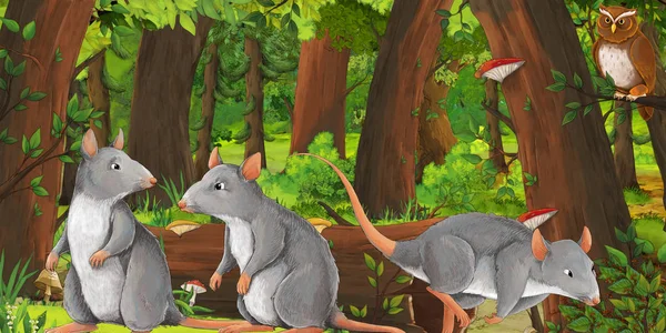Scena estiva dei cartoni animati con foresta profonda e uccello gufo e ratti - nessuno sulla scena - illustrazione per bambini — Foto Stock