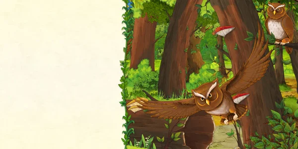 Мультяшна сцена лісу і луг з совами - титульна сторінка з простором для тексту - ілюстрація для дітей — стокове фото