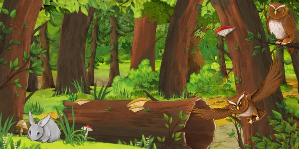 Kreslená letní scéna s hlubokým lesem a ptačí Soví a králíkem-nikdo na scéně-ilustrace pro děti — Stock fotografie