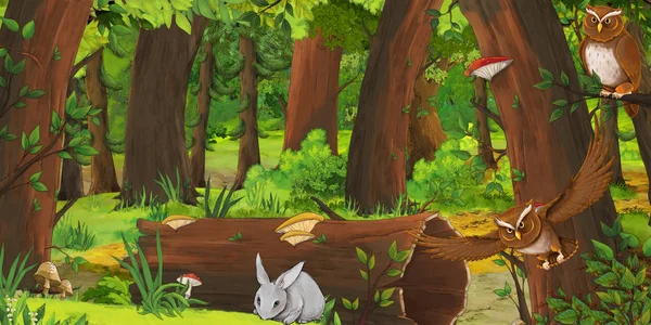 Cartoon-Sommerszene mit tiefem Wald und Vogel Eule und Hase - niemand vor Ort - Illustration für Kinder — Stockfoto