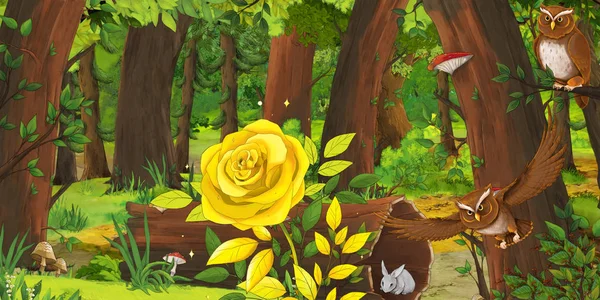 Kreslená Letní Scéna Hlubokým Lesem Ptačí Soví Zlatou Růží Nikdo — Stock fotografie