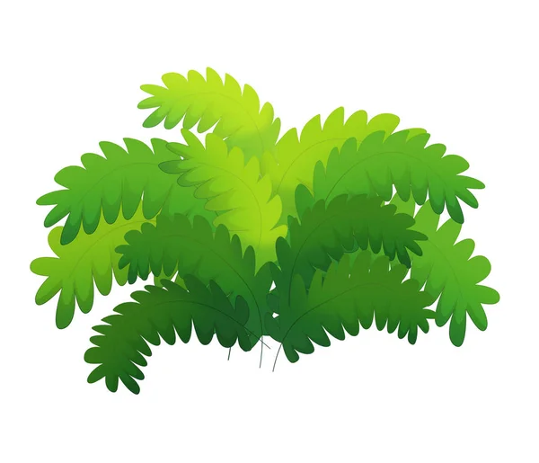 Cartoon natuur element Bush Fern op witte achtergrond illustratie voor kinderen — Stockfoto