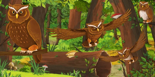 Scena estiva dei cartoni animati con foresta profonda e uccelli gufi e qualche altro uccello nessuno sulla scena illustrazione per i bambini — Foto Stock