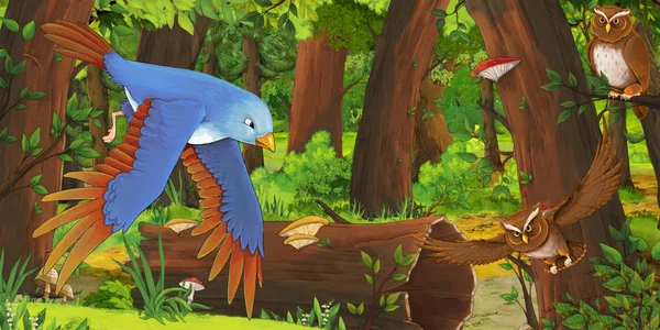 Kreslená letní scéna s hlubokými lesy a ptáky sovy a s jiným ptákem-nikdo na scéně-ilustrace pro děti — Stock fotografie
