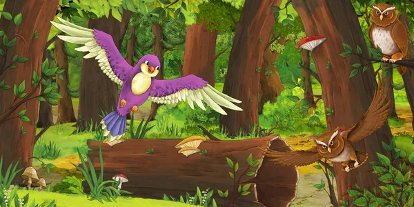 Escena de verano de dibujos animados con bosque profundo y búhos pájaros y algún otro pájaro - nadie en la escena - ilustración para los niños — Foto de Stock