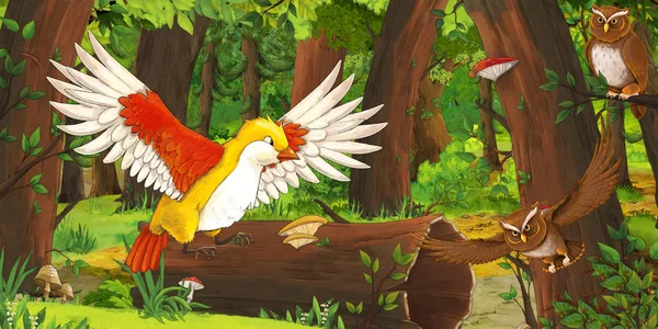 Scena estiva dei cartoni animati con foresta profonda e uccelli gufi e qualche altro uccello nessuno sulla scena illustrazione per i bambini — Foto Stock