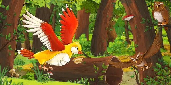 Cena de verão de desenhos animados com floresta profunda e corujas de pássaros e algum outro pássaro - ninguém em cena - ilustração para crianças — Fotografia de Stock