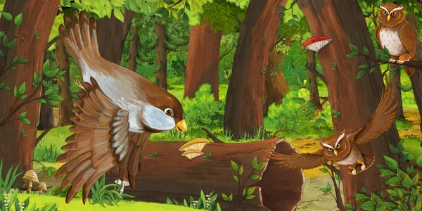 Летняя сцена мультфильма с глубоким лесом и птицами совами и другой птицей - никого на сцене - иллюстрация для детей — стоковое фото