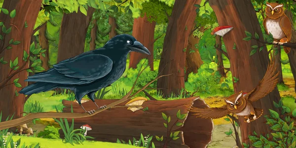 Kreslená letní scéna s hlubokými lesy a ptáky sovy a s jiným ptákem-nikdo na scéně-ilustrace pro děti — Stock fotografie