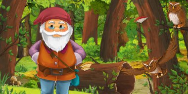 bazı baykuşlar kuşlar yakın ormanda mutlu cüce ile karikatür sahnesi - çocuklar için illüstrasyon