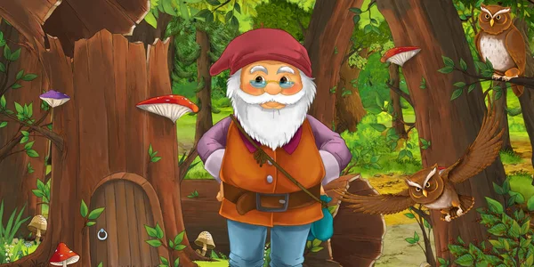 Cartoon scene with happy dwarf in the forest near some house in the old tree and near some owls birds - illustration for children — Stock Photo, Image