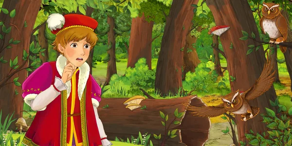 卡通场景与快乐的小男孩王子胸部在森林遇到一对猫头鹰飞 插图为儿童 — 图库照片