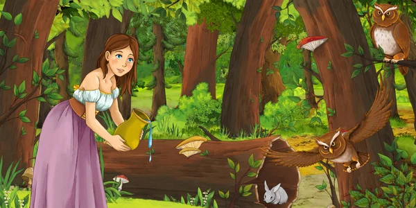 Scena del cartone animato con donna felice nella foresta incontrare coppia di gufi - illustrazione per bambini — Foto Stock