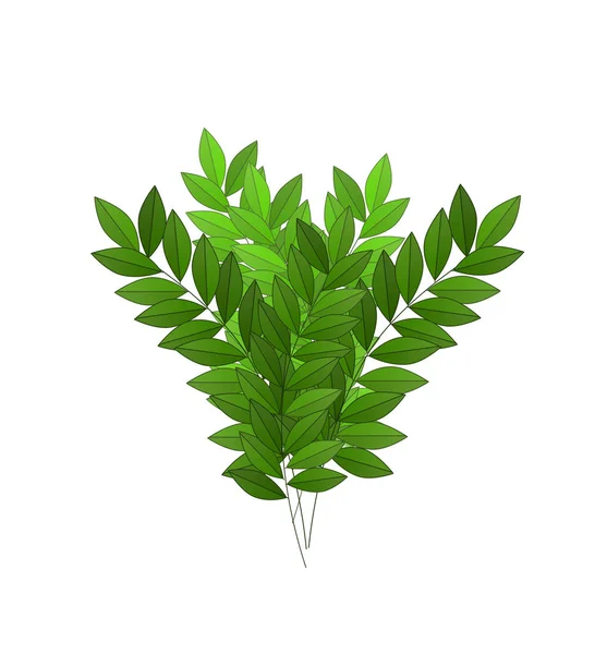 Cartoon nature element bush fern on white background illustration for children — Stock Photo, Image