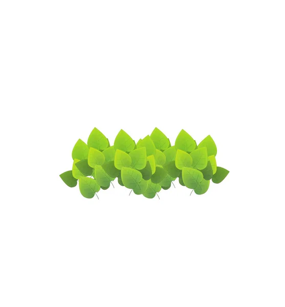 어린이를위한 흰색 배경 그림에 만화 자연 요소 잎 — 스톡 사진