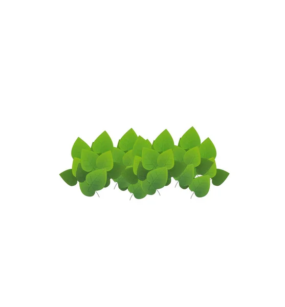 Cartoon nature element leafs on white background illustration for children