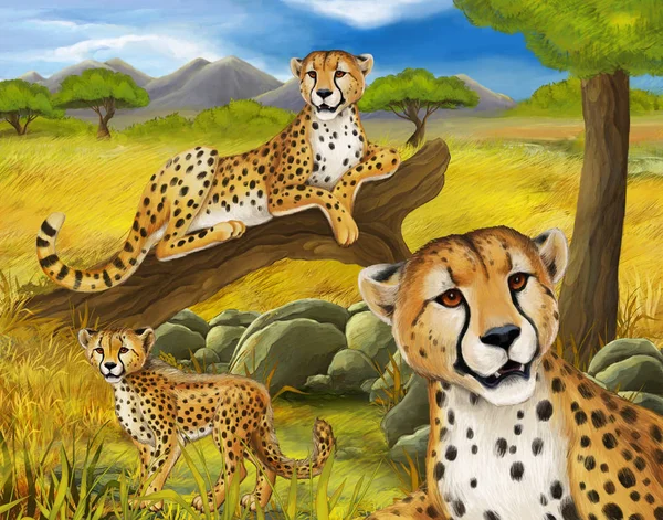 Cartoon scène met Cheetah rusten op boom met familie illustratie voor kinderen — Stockfoto