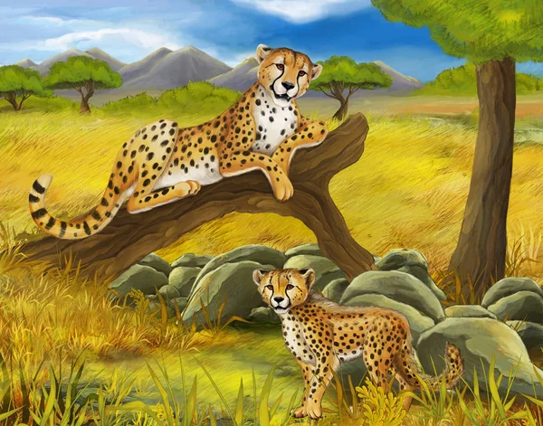 Cartoon scène met Cheetah rusten op boom illustratie voor kinderen — Stockfoto